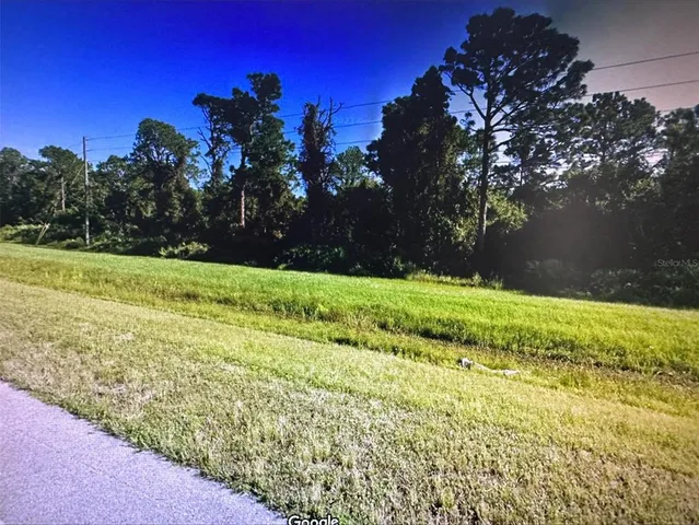 a view of a yard with large trees