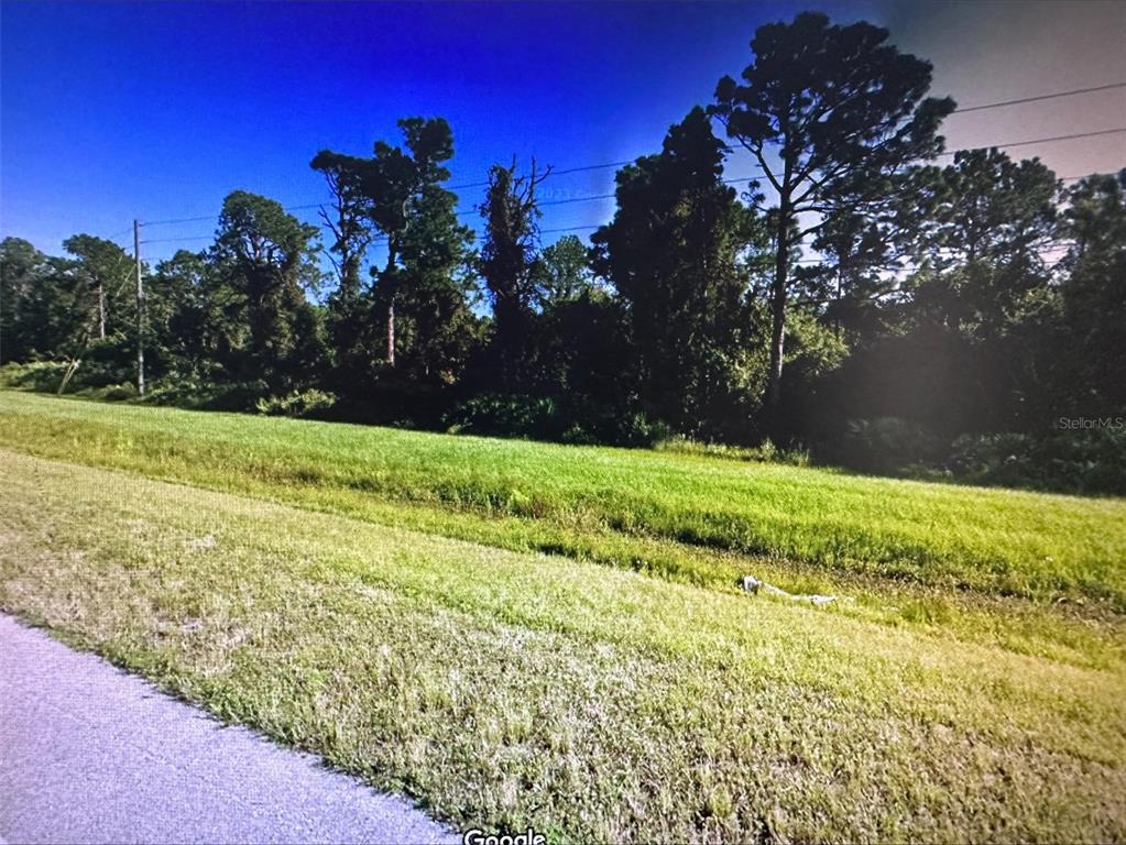 60 East State Road Okeechobee, FL 34972 - Photo 4 of 7 a view of a yard with large trees