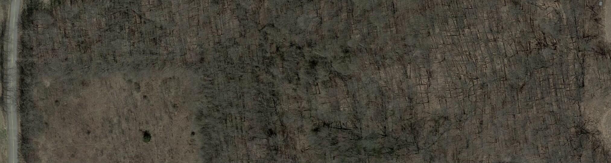 0 Pardee Road Galien, MI 49113 - Photo 3 of 3 tempImageGYeBzq