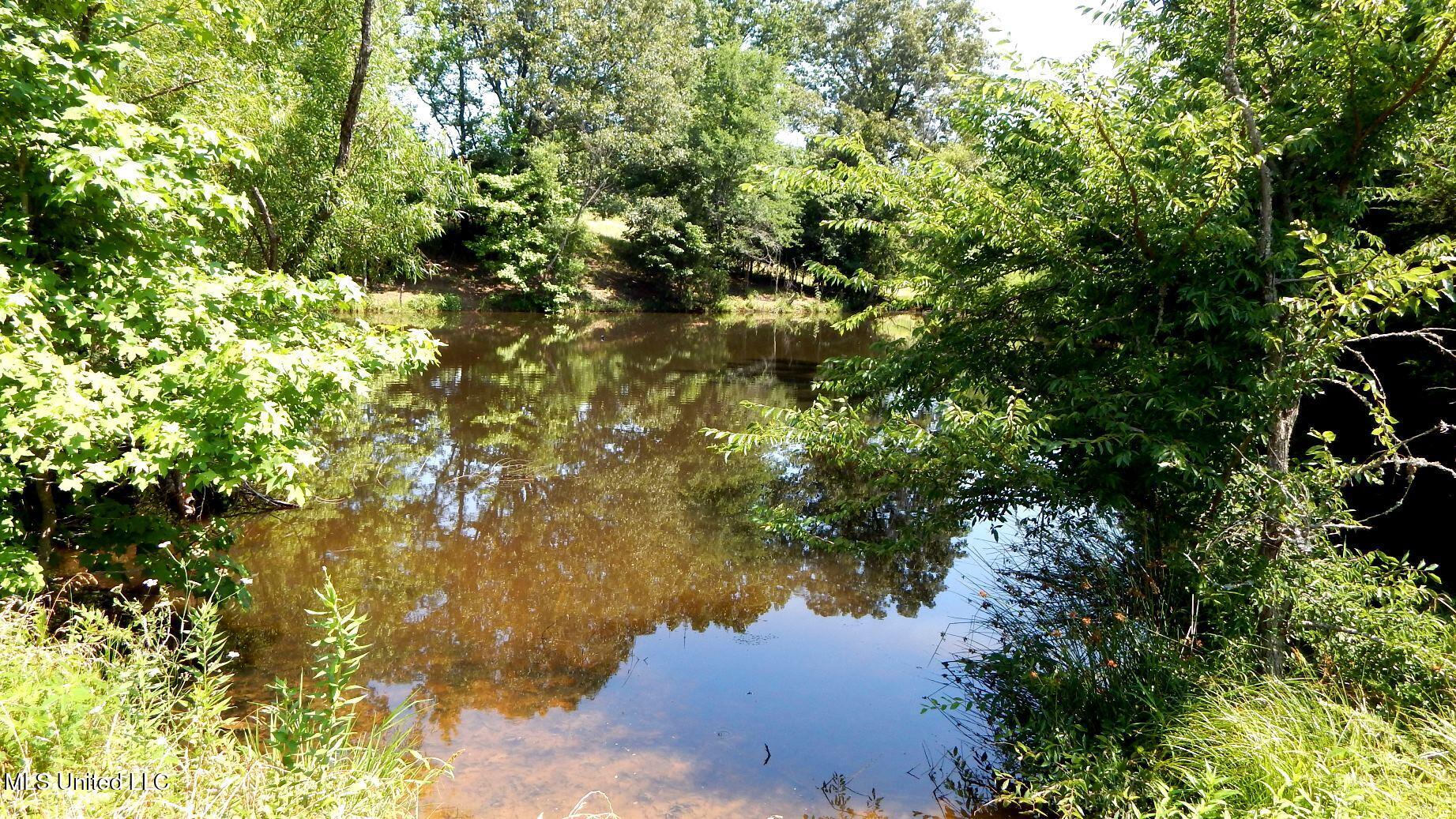 2450 Longtown Road Sarah, MS 38665 - Photo 32 of 60 DSCN6969