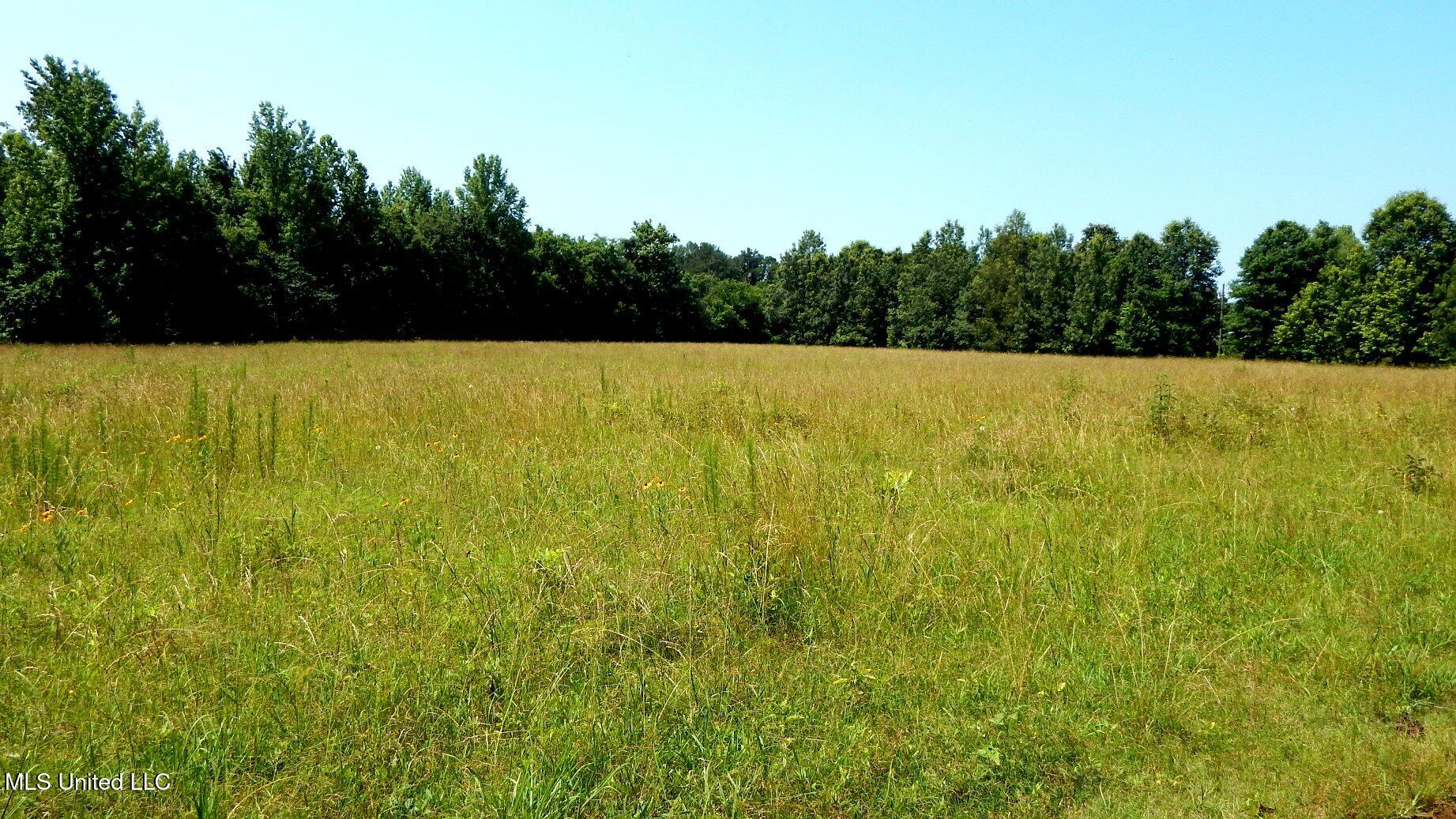 2450 Longtown Road Sarah, MS 38665 - Photo 36 of 60 DSCN6978