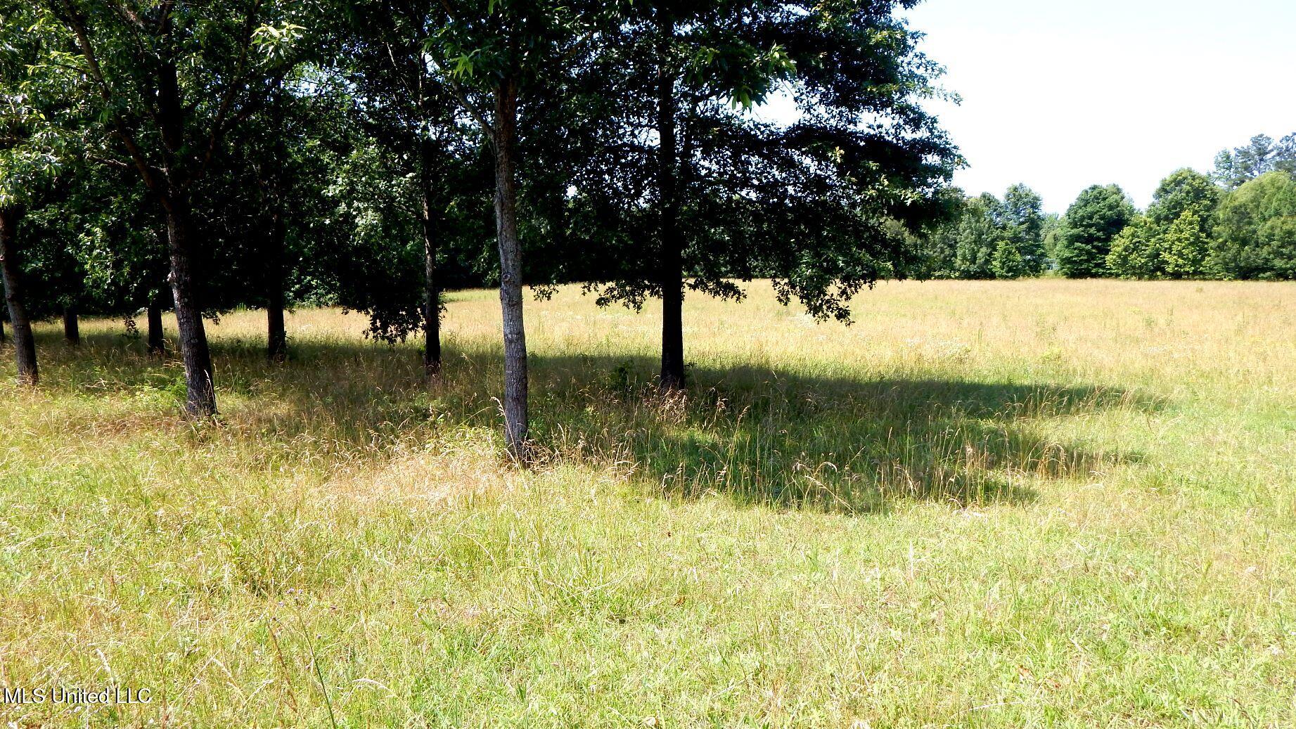 2450 Longtown Road Sarah, MS 38665 - Photo 37 of 60 DSCN6977