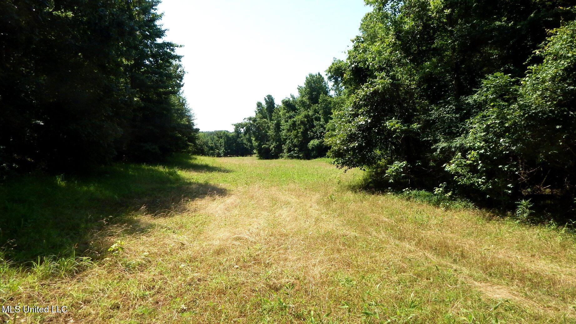 2450 Longtown Road Sarah, MS 38665 - Photo 40 of 60 DSCN6996