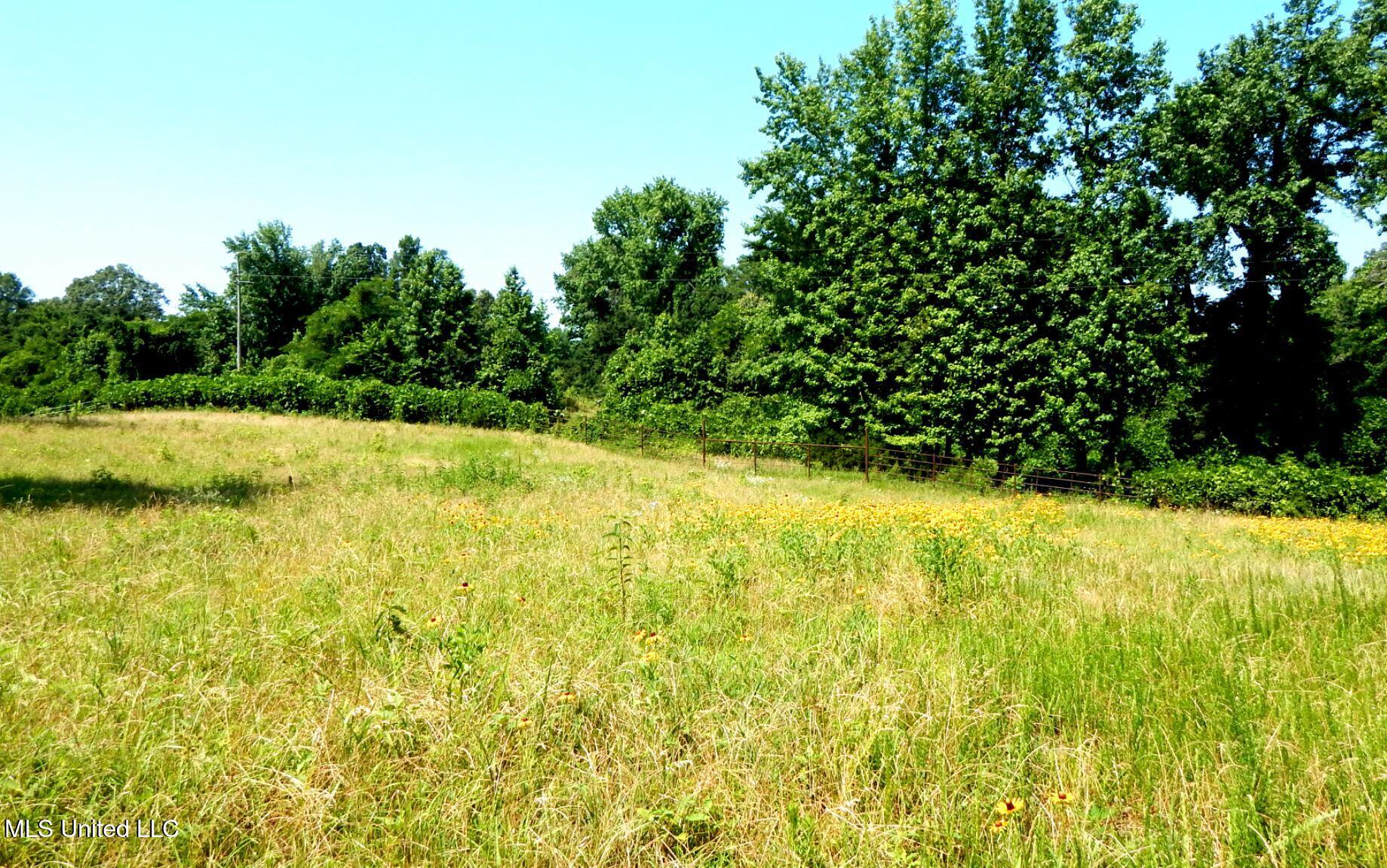 2450 Longtown Road Sarah, MS 38665 - Photo 4 of 60 DSCN6961