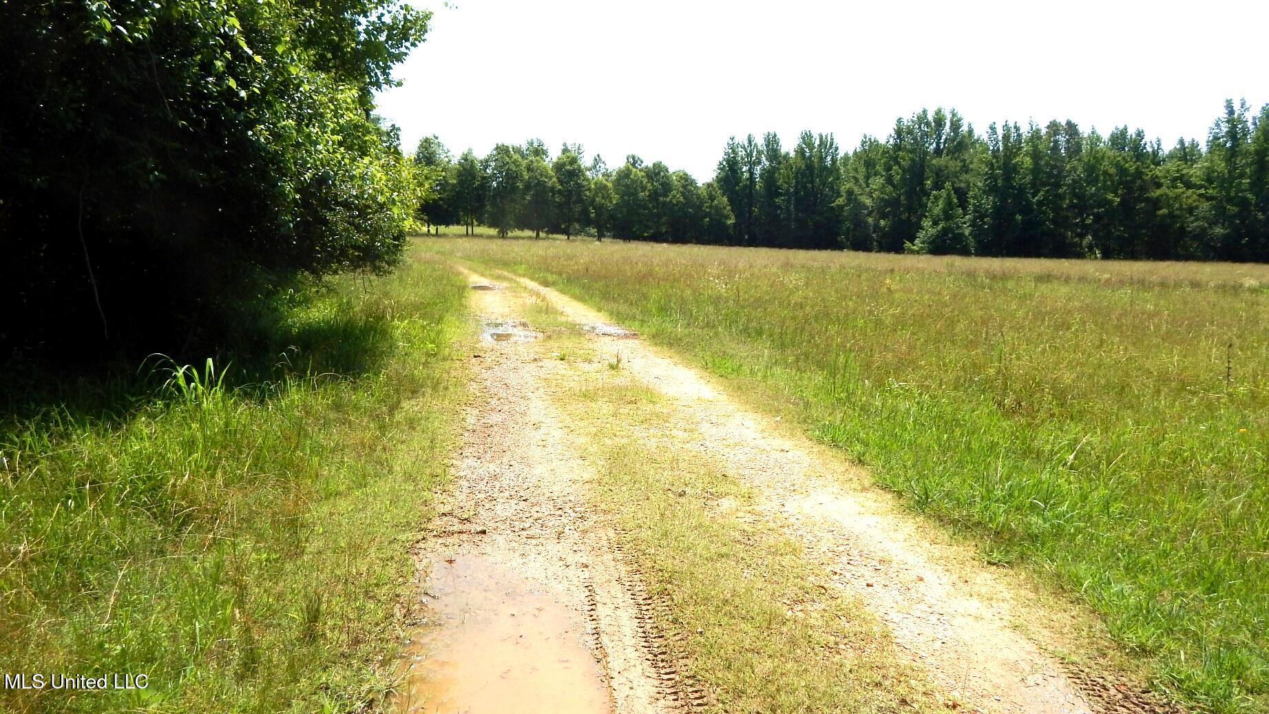 2450 Longtown Road Sarah, MS 38665 - Photo 42 of 60 DSCN7003