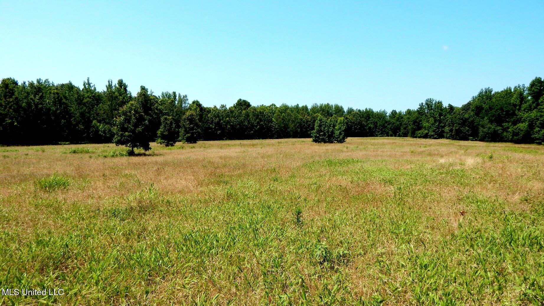 2450 Longtown Road Sarah, MS 38665 - Photo 46 of 60 DSCN6997