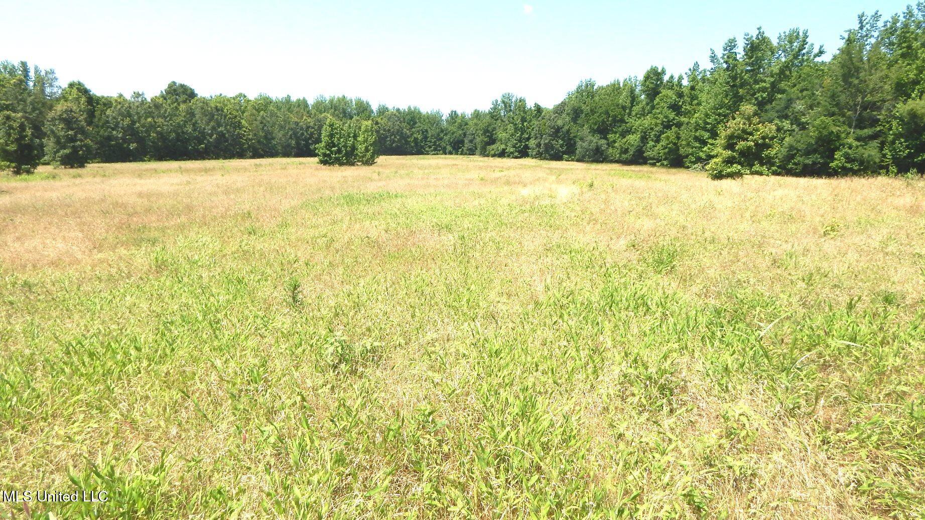 2450 Longtown Road Sarah, MS 38665 - Photo 47 of 60 DSCN6998