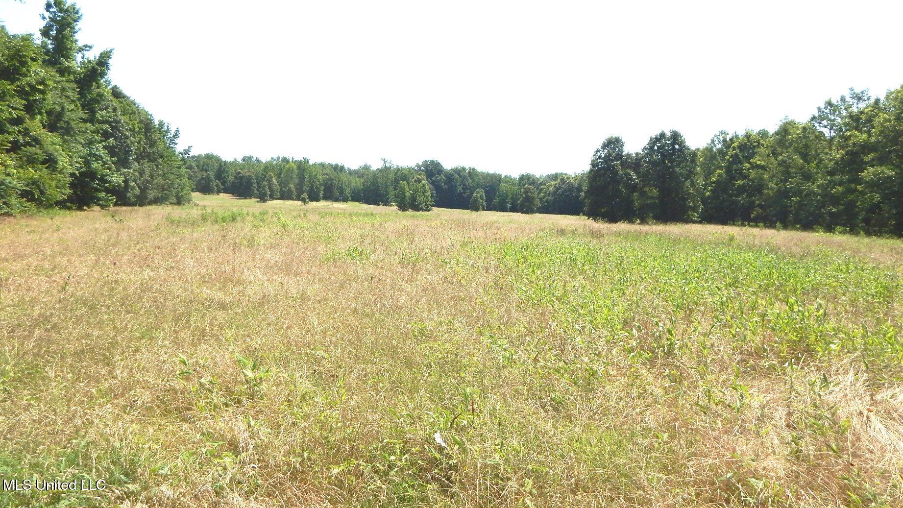2450 Longtown Road Sarah, MS 38665 - Photo 48 of 60 DSCN6982