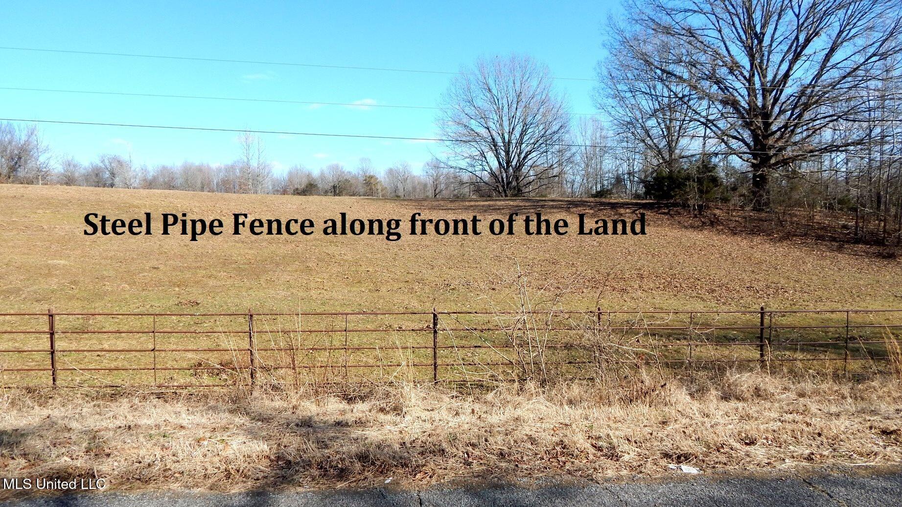 2450 Longtown Road Sarah, MS 38665 - Photo 53 of 60 DSCN6591