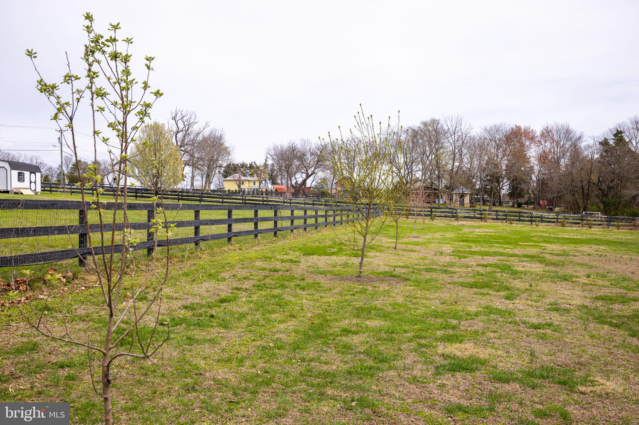 240 Poplar Road Fredericksburg, VA 22406 - Photo 72 of 77 a view of a swimming pool with a bench and trees