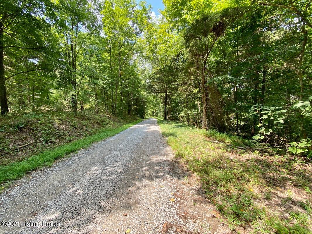 Lot 6-0 Wax Road Clarkson, KY 42726 - Photo 6 of 8 Logsdon Acres North Farm5