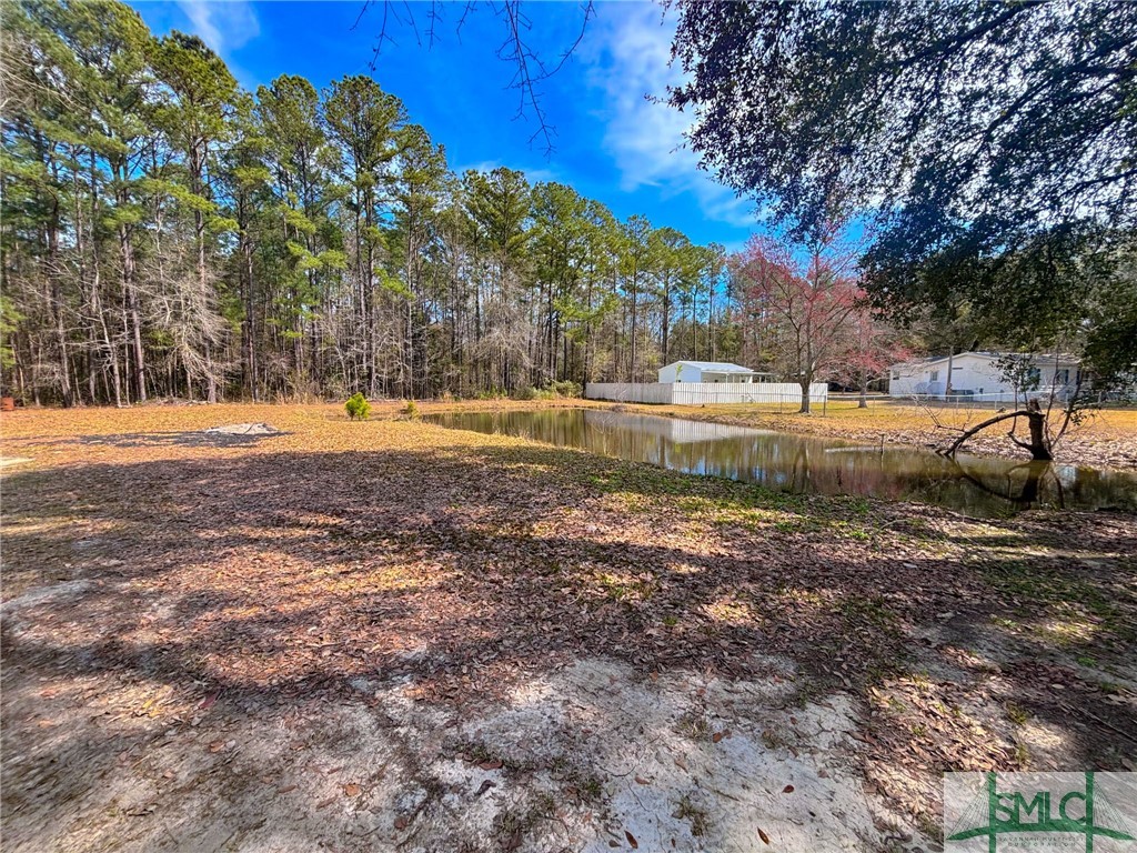 1276 Bill Futch Road Ellabell, GA 31308 - Photo 38 of 39 Gallery Image 38