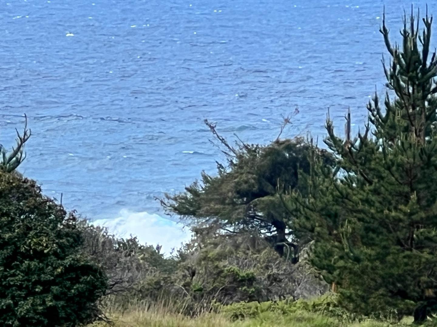 375 Spur Close The Sea Ranch, CA 95497 - Photo 2 of 16