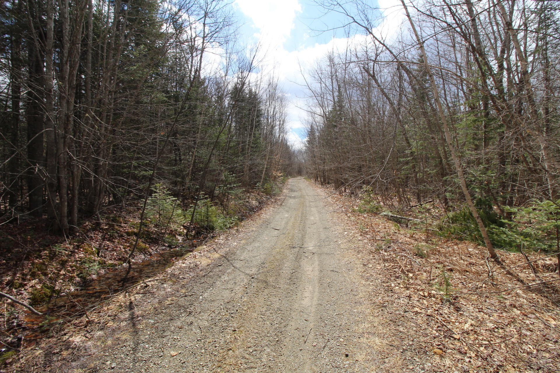 Lot 16 Back Searsport Road Belfast, ME 04915 - Photo 7 of 16 Rutland Back Searsport Rd (57)