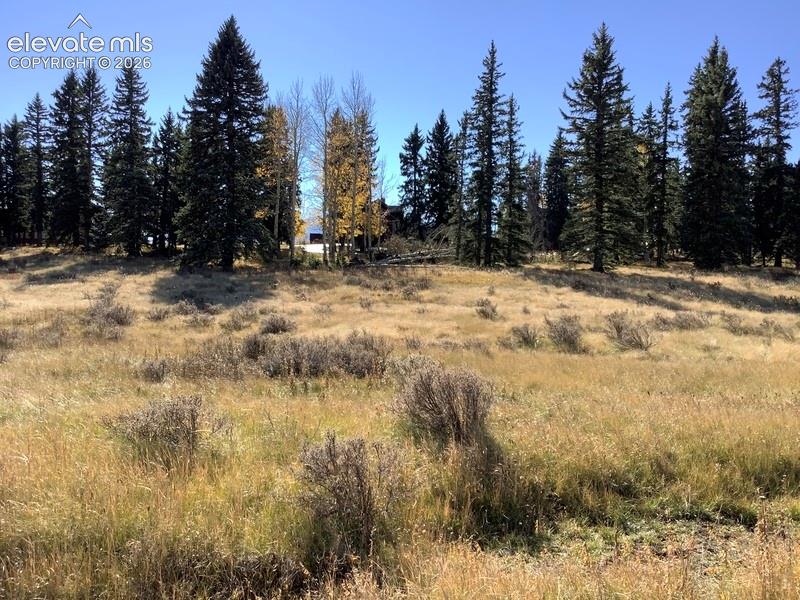 View from the back of the property