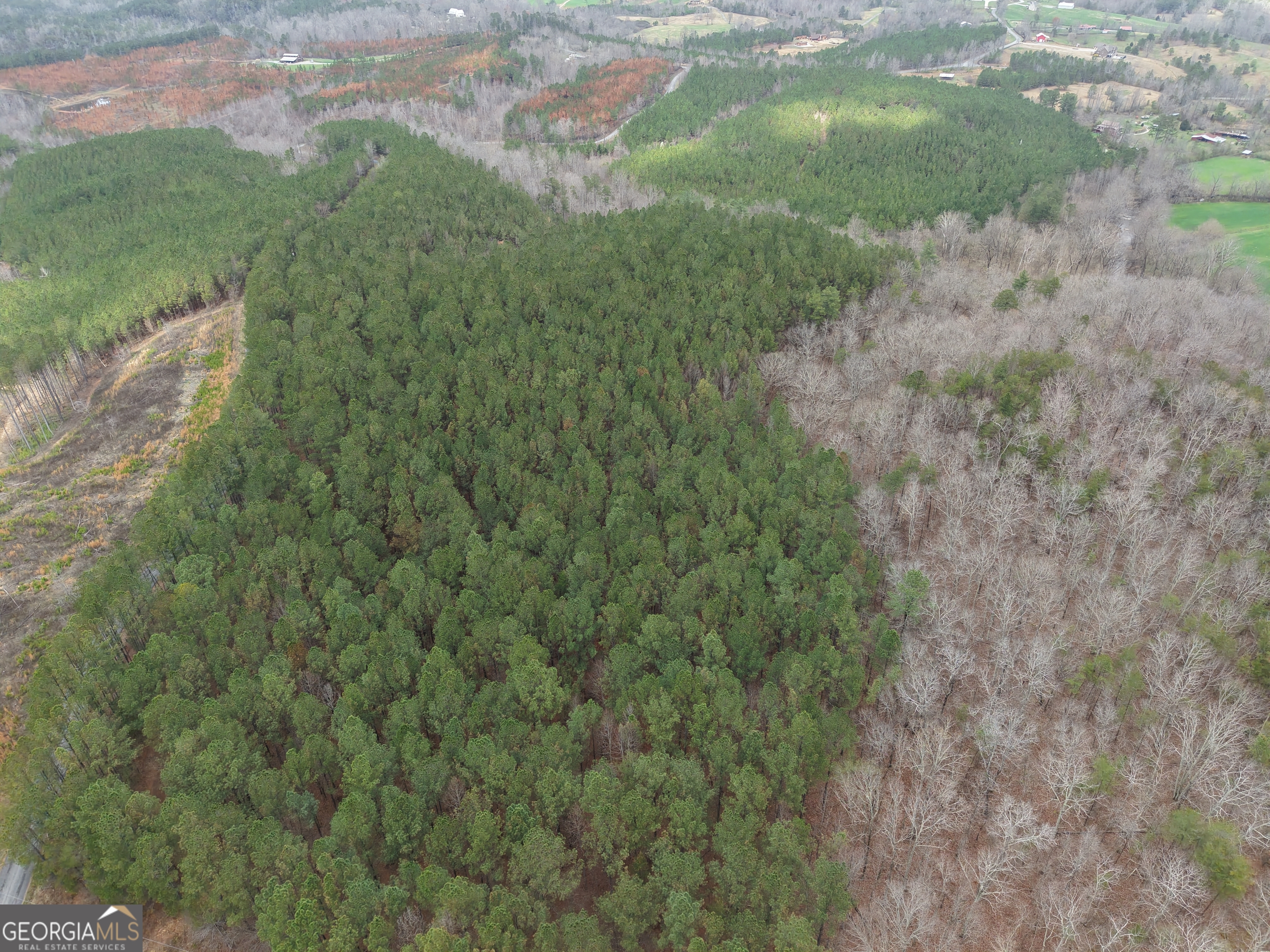 0 Johnson Mountain Road, Unit 7402B Fairmount, GA 30139 - Photo 3 of 37 a view of a forest that has a tree