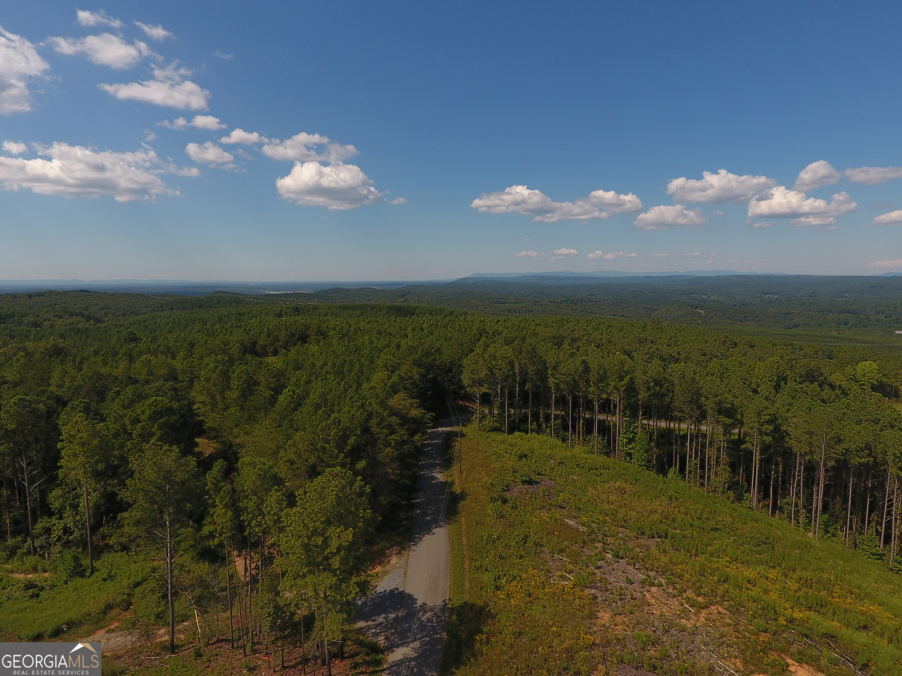 0 Johnson Mountain Road, Unit 7402B Fairmount, GA 30139 - Photo 4 of 37 a view of a city with lots of trees