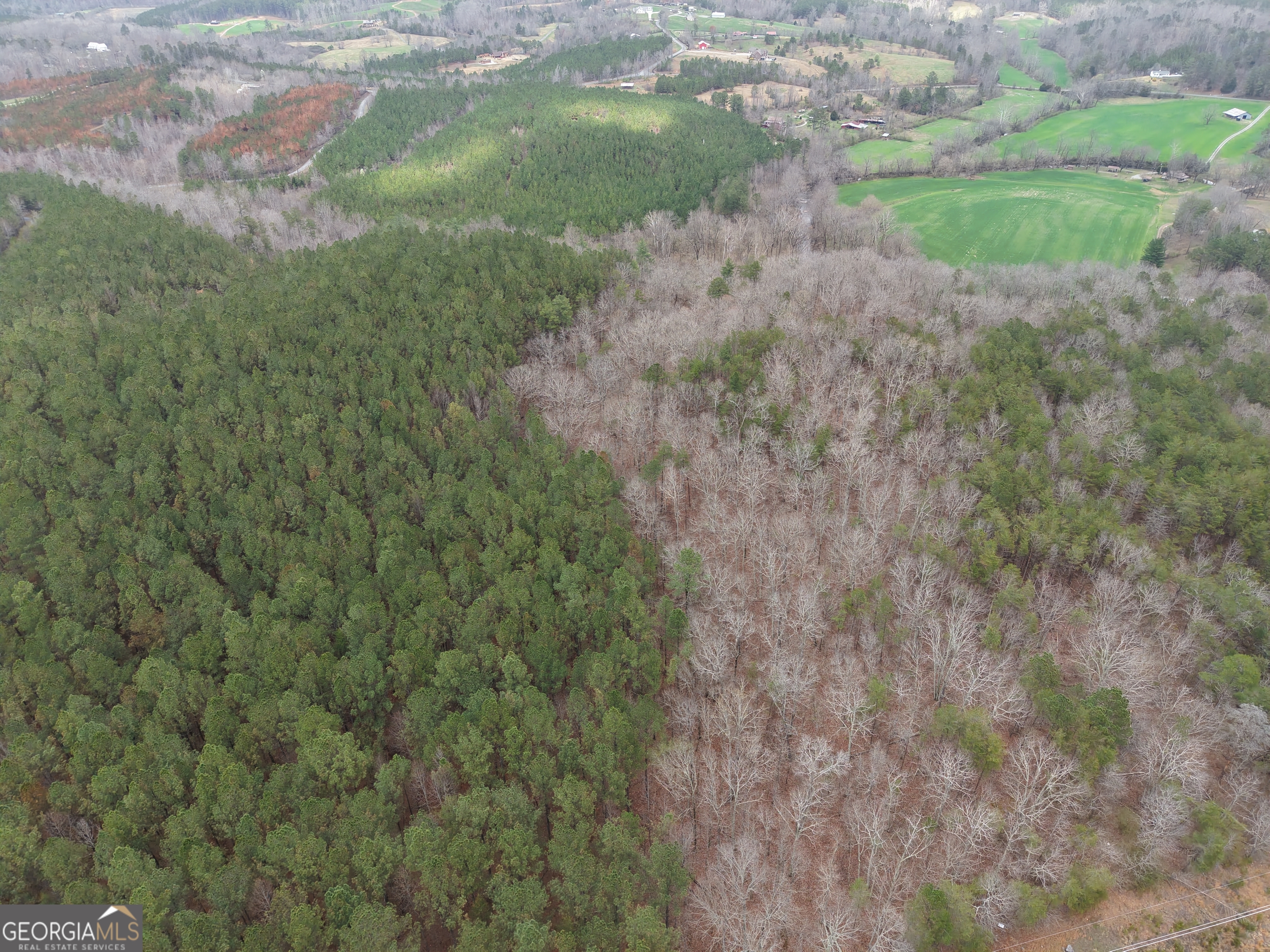 0 Johnson Mountain Road, Unit 7402B Fairmount, GA 30139 - Photo 5 of 37 a view of a yard with a plant