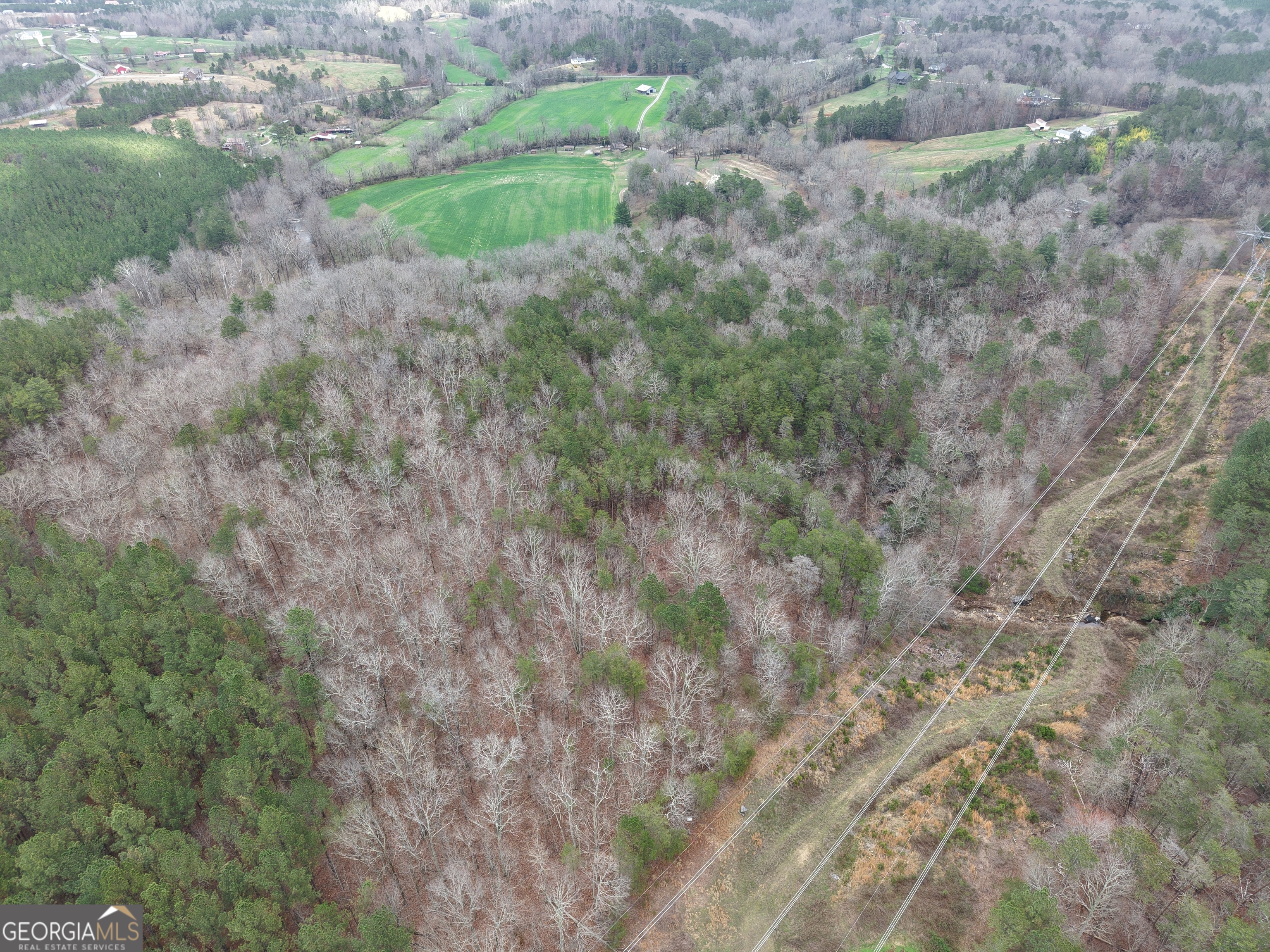0 Johnson Mountain Road, Unit 7402B Fairmount, GA 30139 - Photo 7 of 37 a view of a lush green forest with lots of trees