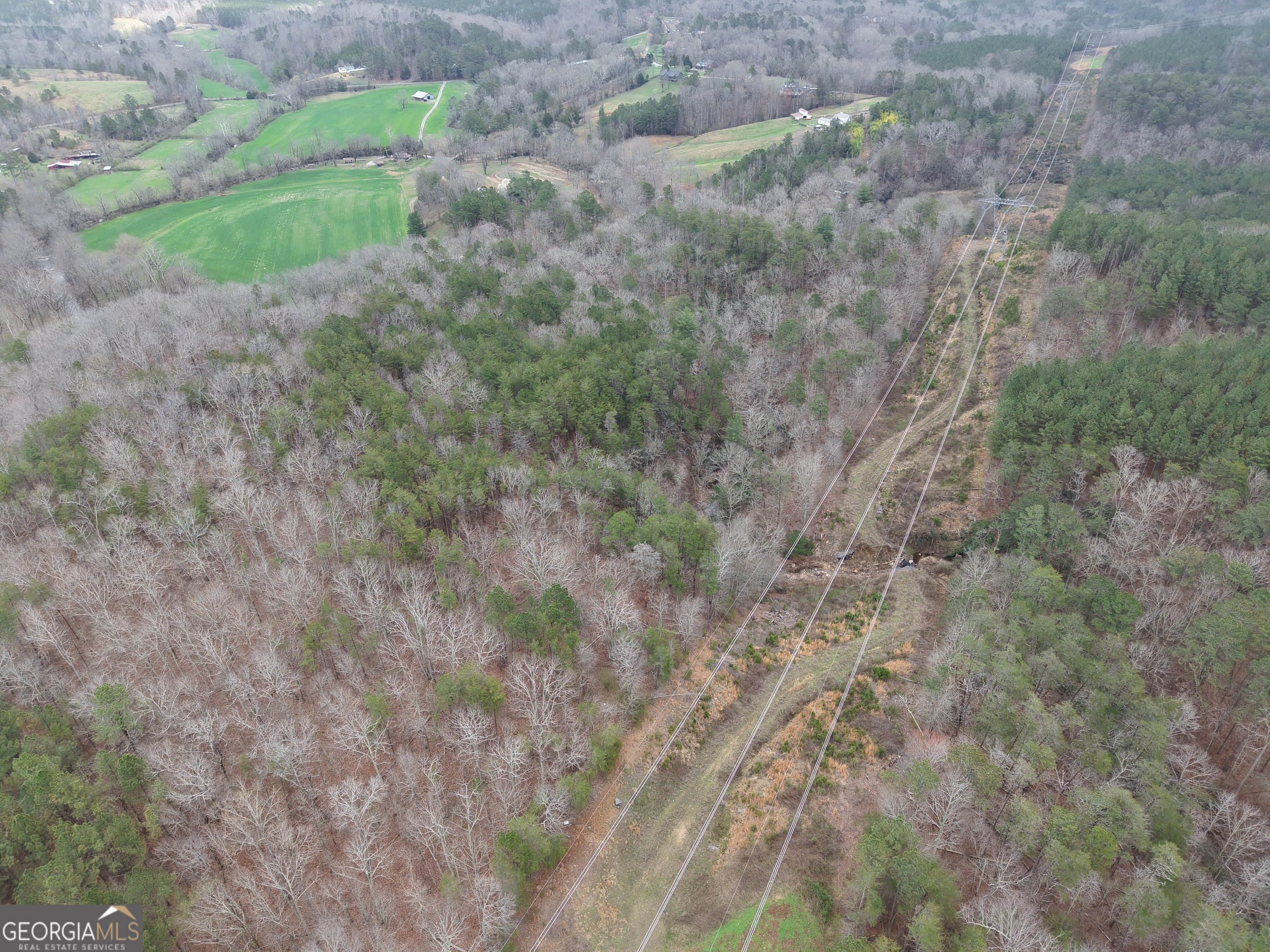 0 Johnson Mountain Road, Unit 7402B Fairmount, GA 30139 - Photo 9 of 37 a view of a yard with a trees