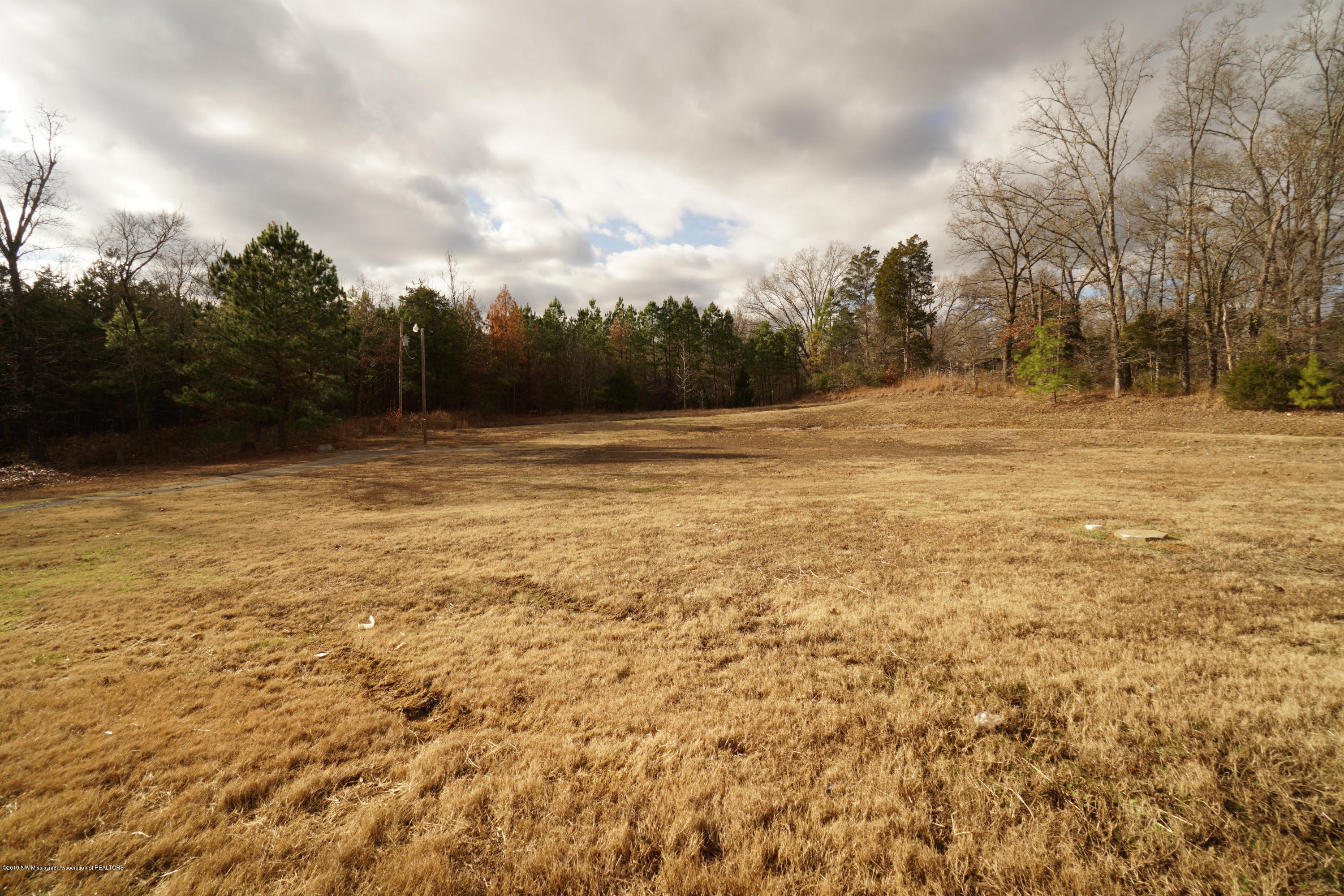 751 Shinault Road Byhalia, MS 38611 - Photo 34 of 44 shinault 064