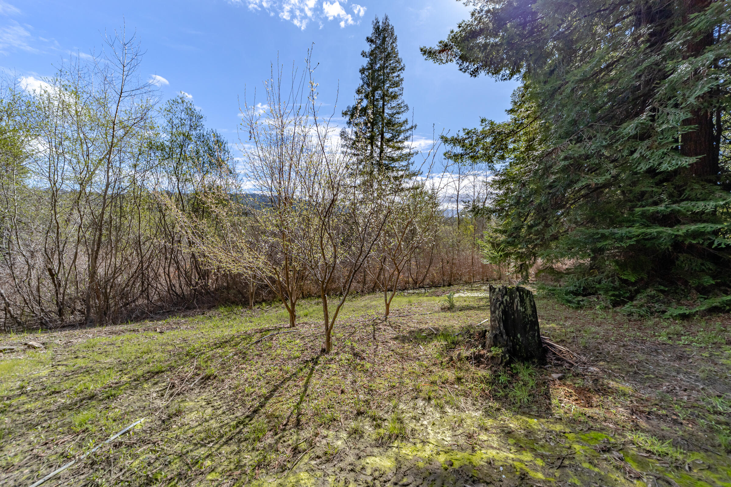 2375 Salmon Creek Road Miranda, CA 95553 - Photo 35 of 37