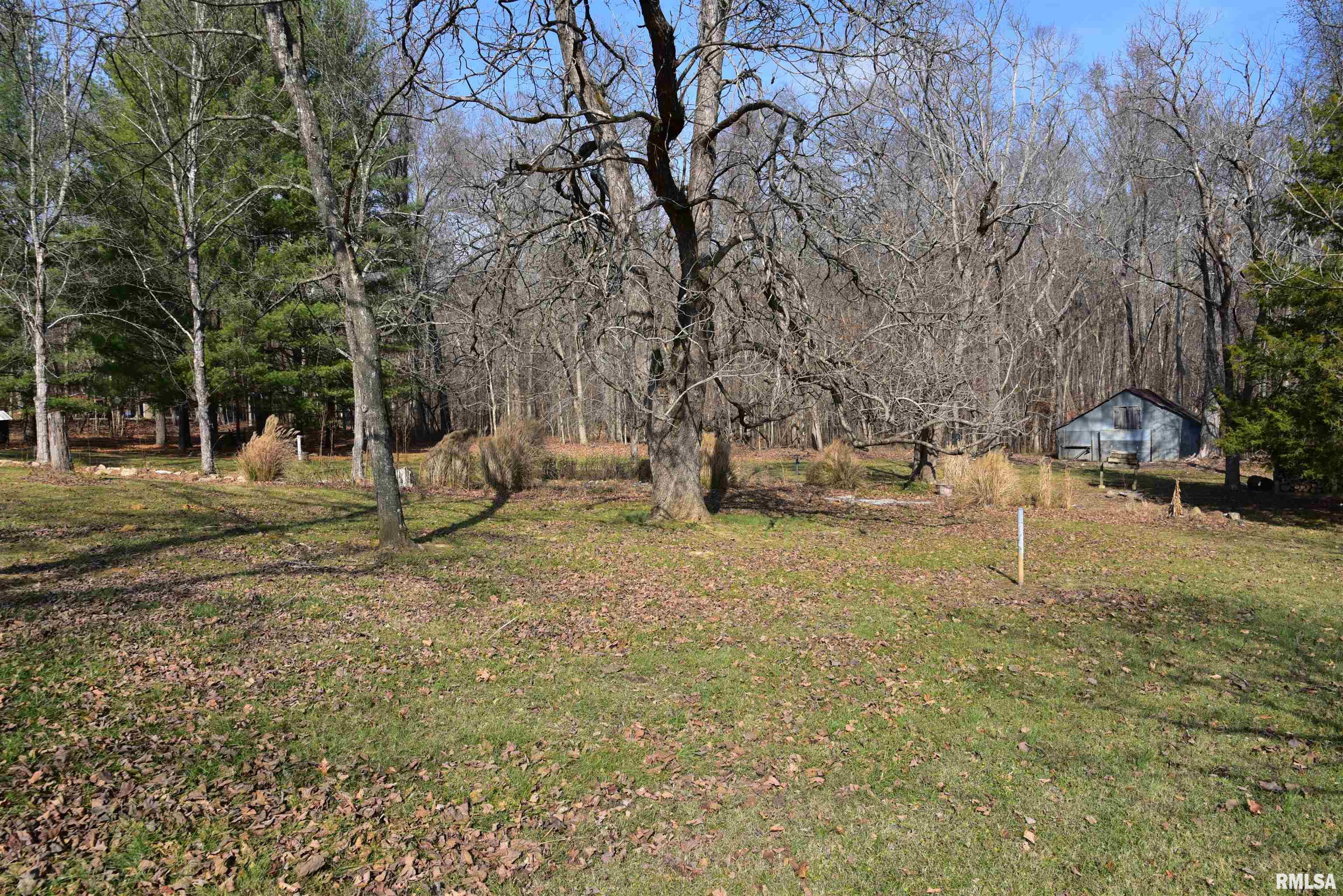 235 Dutton Chapel Road Herod, IL 62947 - Photo 29 of 38