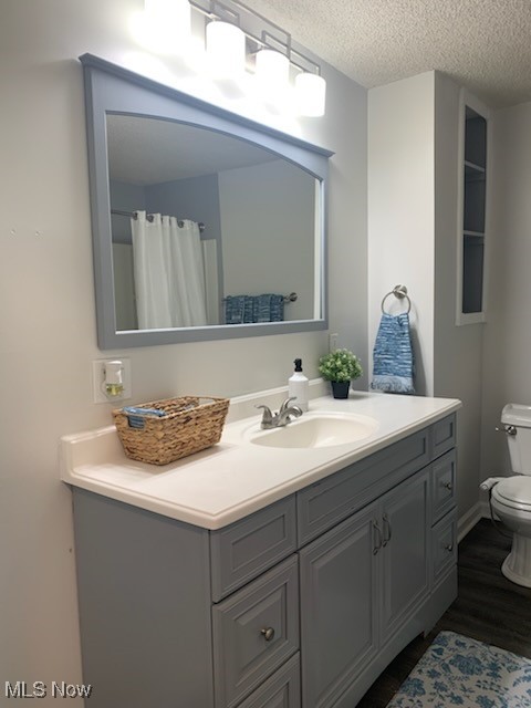 284 Altamont Road Vermilion, OH 44089 - Photo 31 of 39 Full bathroom with wood finished floors, vanity, a textured ceiling, and toilet