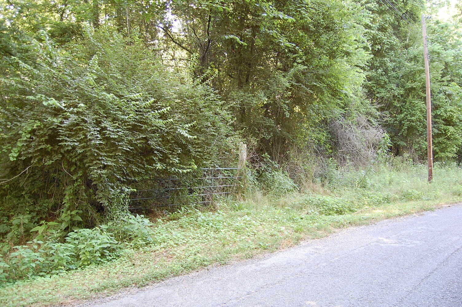 0 Francis Spring Road Whitwell, TN 37397 - Photo 1 of 23 Gallery Image 1