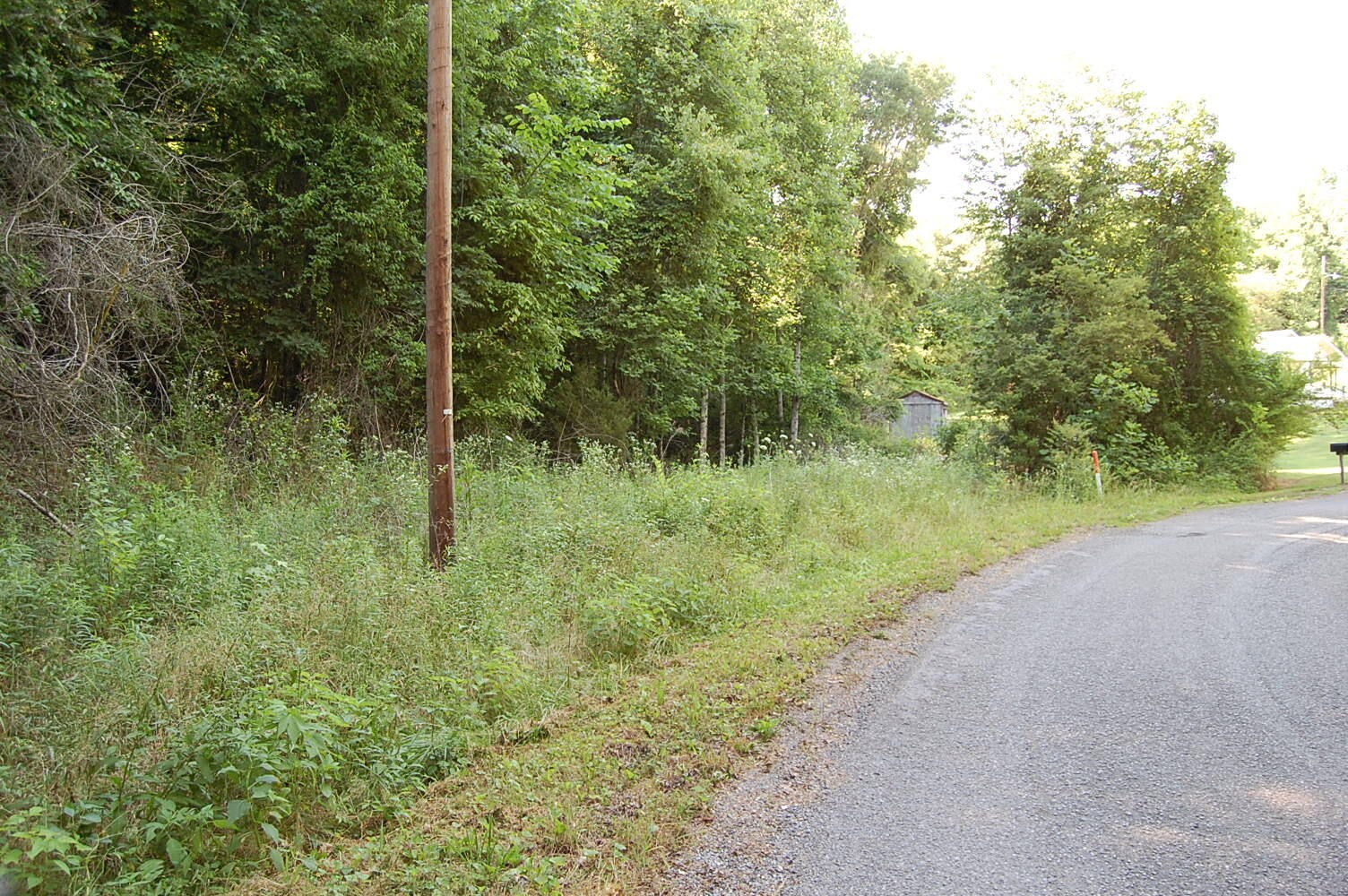 0 Francis Spring Road Whitwell, TN 37397 - Photo 2 of 23 Gallery Image 2