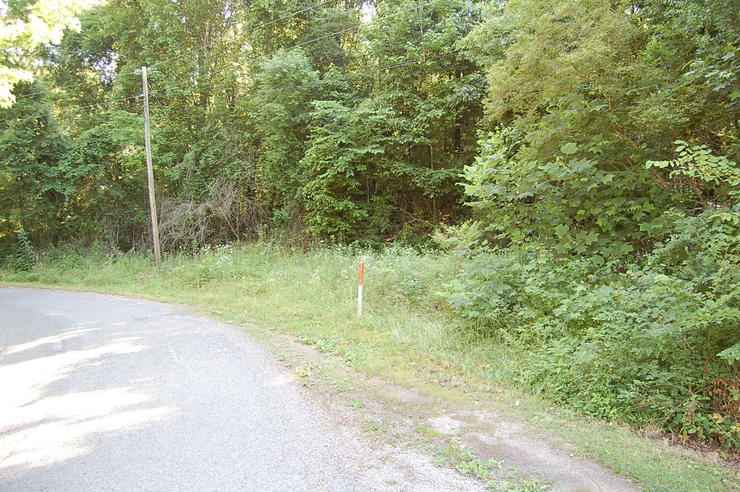 0 Francis Spring Road Whitwell, TN 37397 - Photo 3 of 23 Gallery Image 3