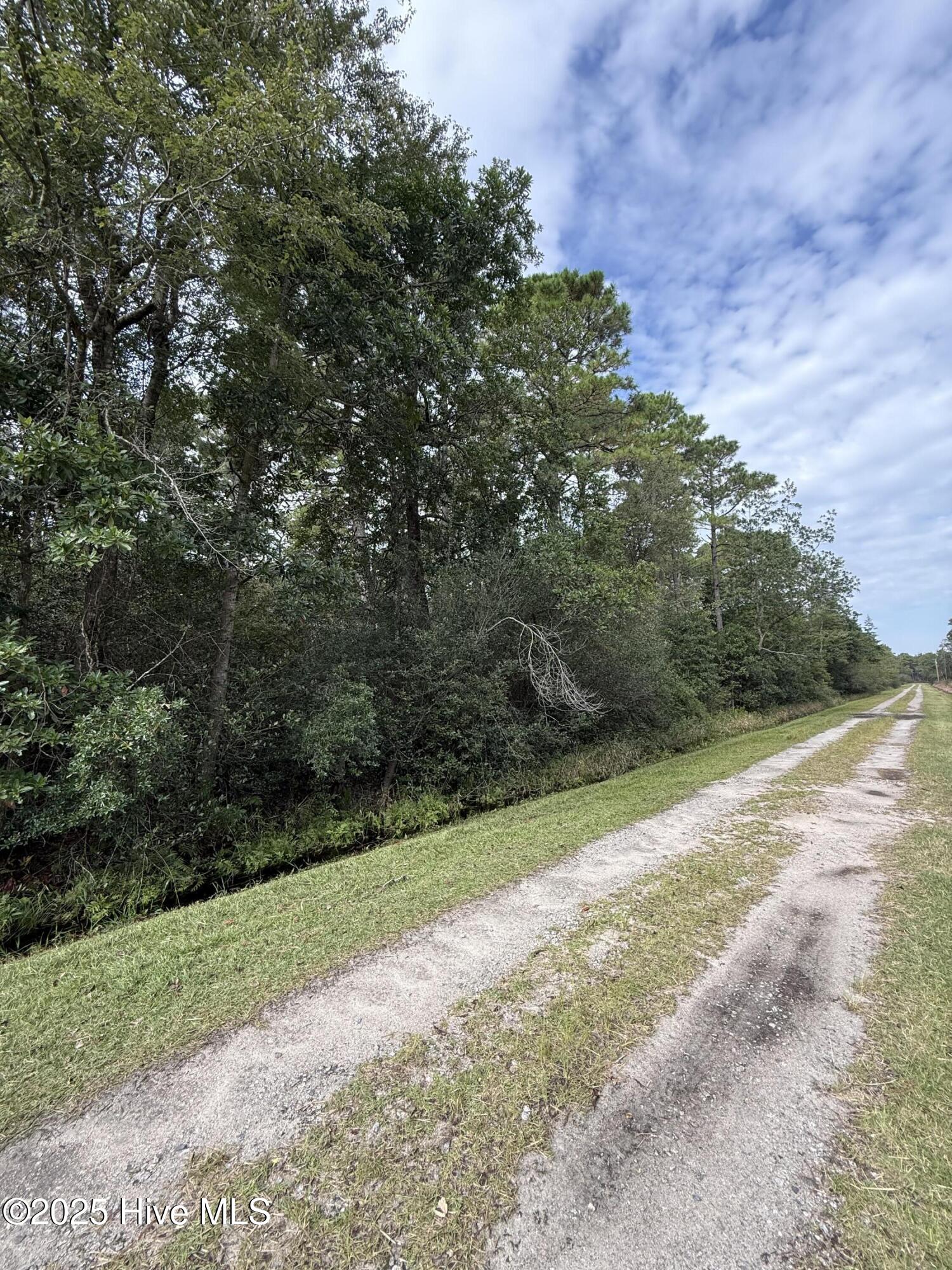 Lot 49 Bluebird Road Southport, NC 28461 - Photo 3 of 4 IMG_4946