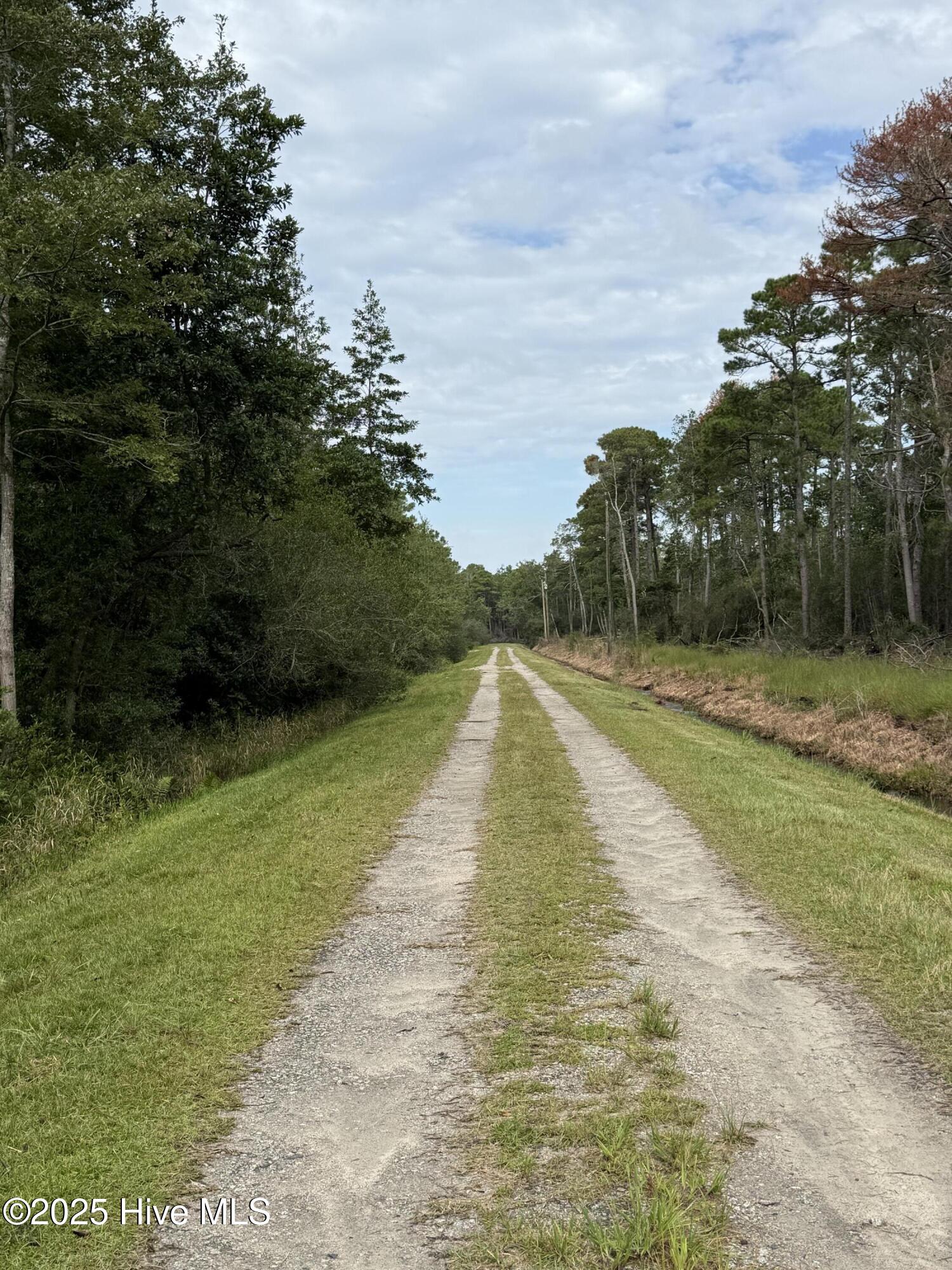 Lot 49 Bluebird Road Southport, NC 28461 - Photo 4 of 4 IMG_4948