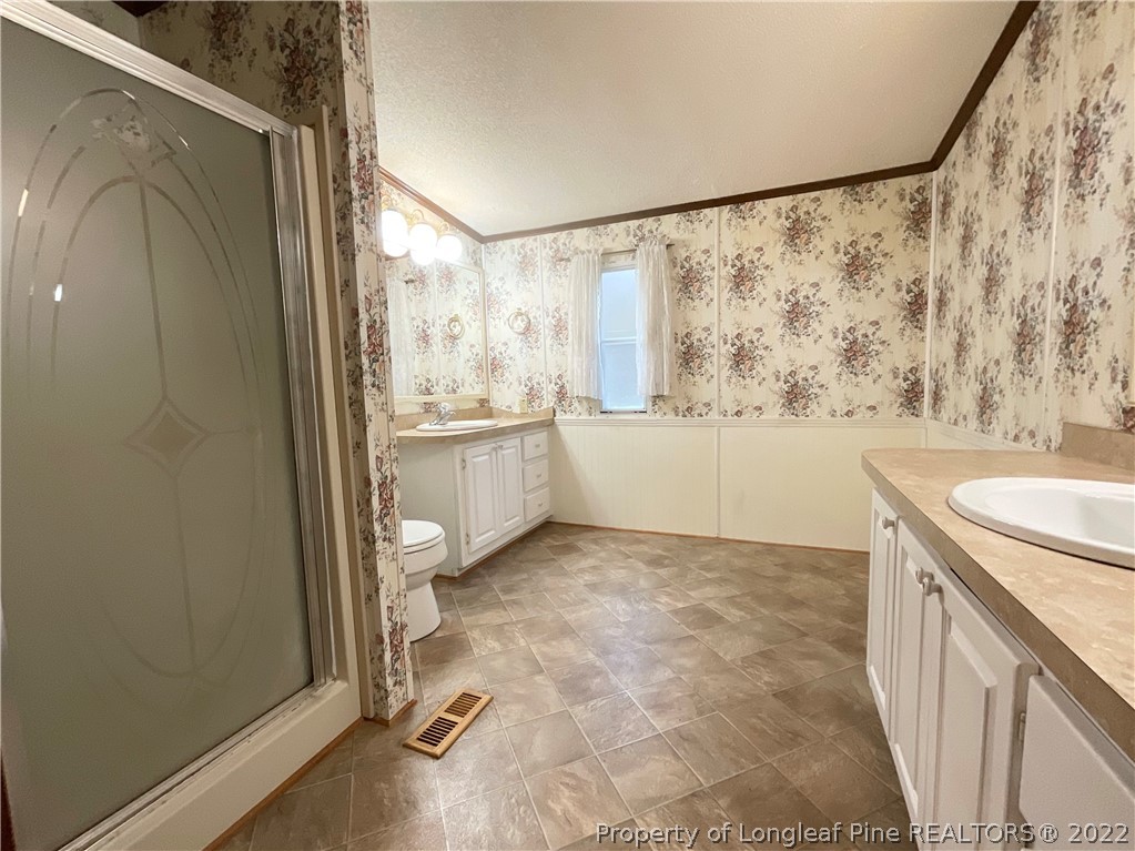269 Read Road Cameron, NC 28326 - Photo 13 of 21 a bathroom with a granite countertop sink a toilet and shower