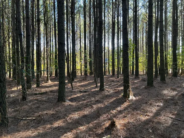 $119,900 | 2035 Crockett Point, Unit JF609, Jasper, TN 37347