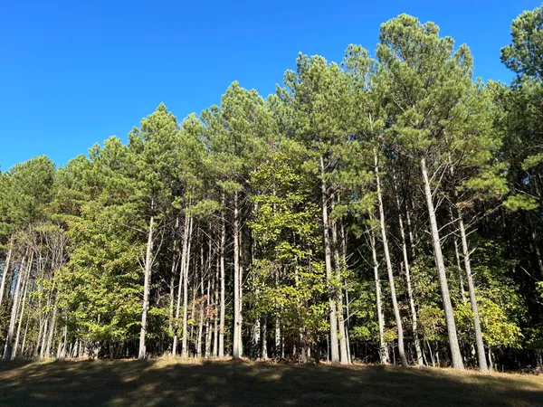 $119,900 | 2035 Crockett Point, Unit JF609, Jasper, TN 37347