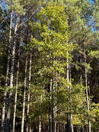 $119,900 | 2035 Crockett Point, Unit JF609, Jasper, TN 37347
