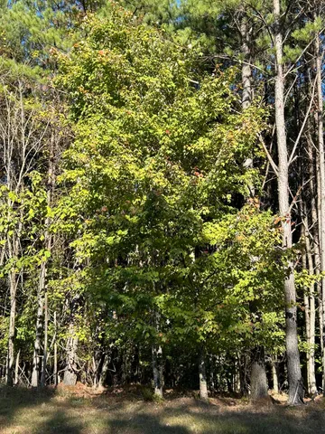 $119,900 | 2035 Crockett Point, Unit JF609, Jasper, TN 37347