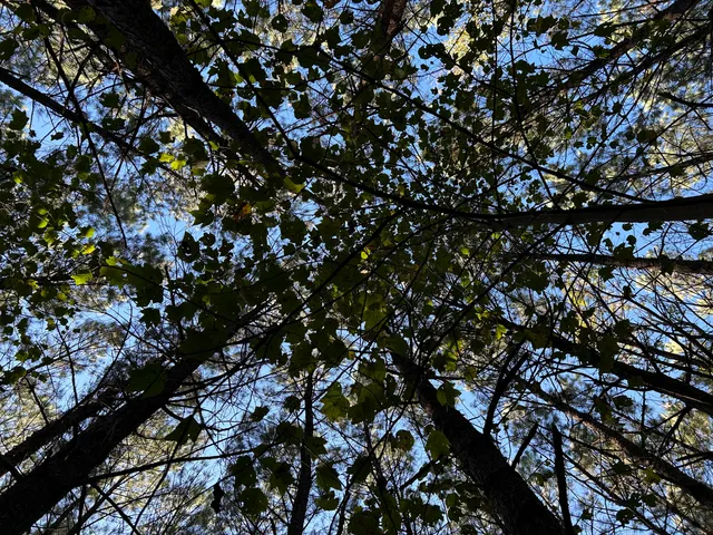 $119,900 | 2035 Crockett Point, Unit JF609, Jasper, TN 37347