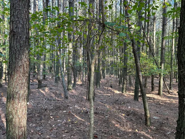 $119,900 | 2035 Crockett Point, Unit JF609, Jasper, TN 37347