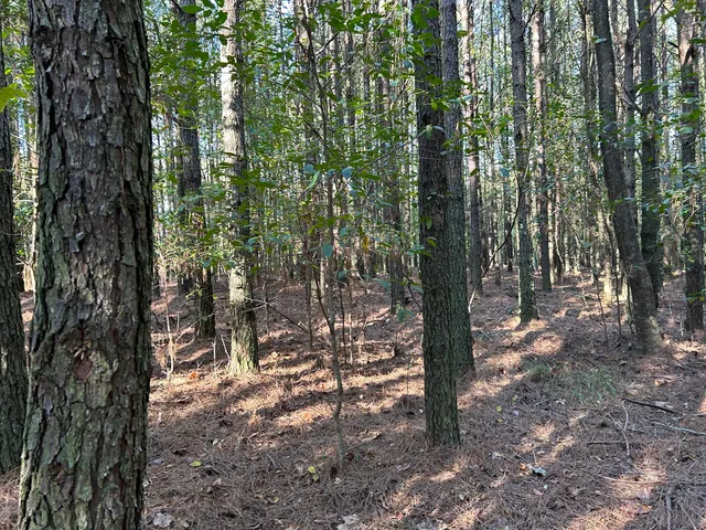 $119,900 | 2035 Crockett Point, Unit JF609, Jasper, TN 37347