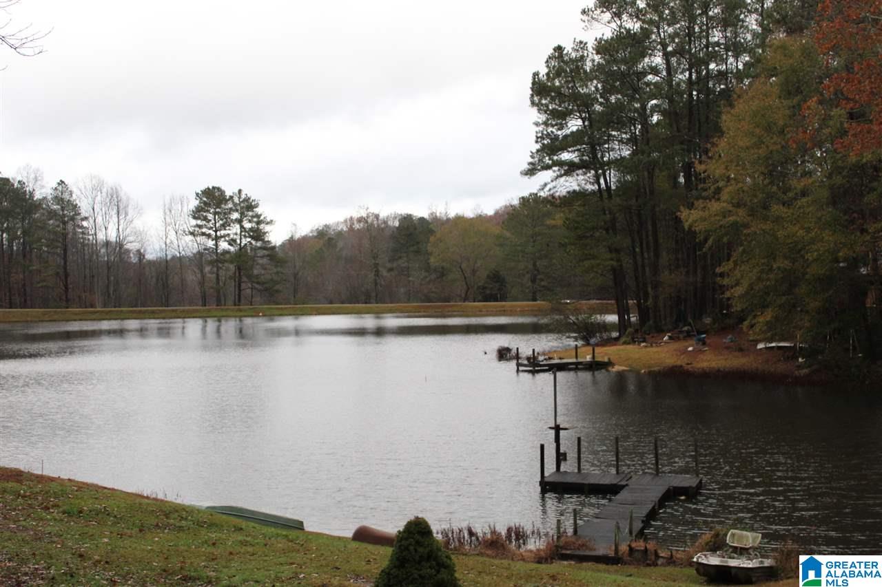 0 County Road 921, Unit 2 Delta, AL 36258 - Photo 17 of 17