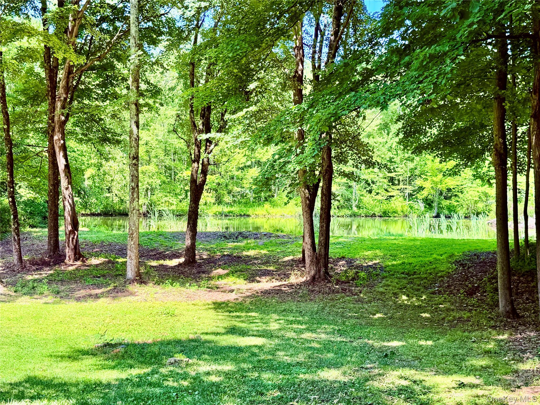 126 Carter Road Pleasant Valley, NY 12569 - Photo 32 of 32 Gallery Image 32