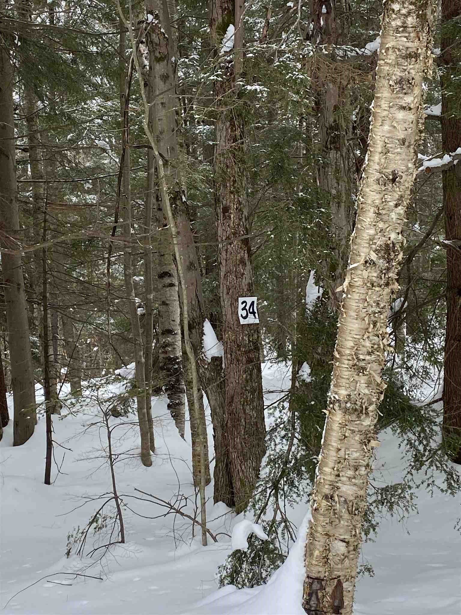 34 South Ryder Pond Road Whitingham, VT 05342 - Photo 3 of 11
