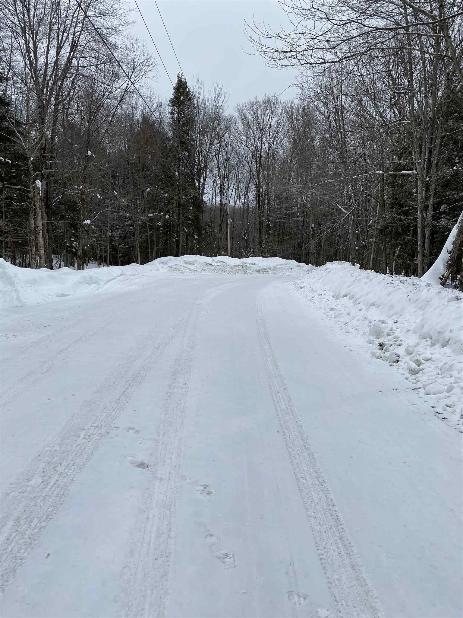 34 South Ryder Pond Road Whitingham, VT 05342 - Photo 4 of 11