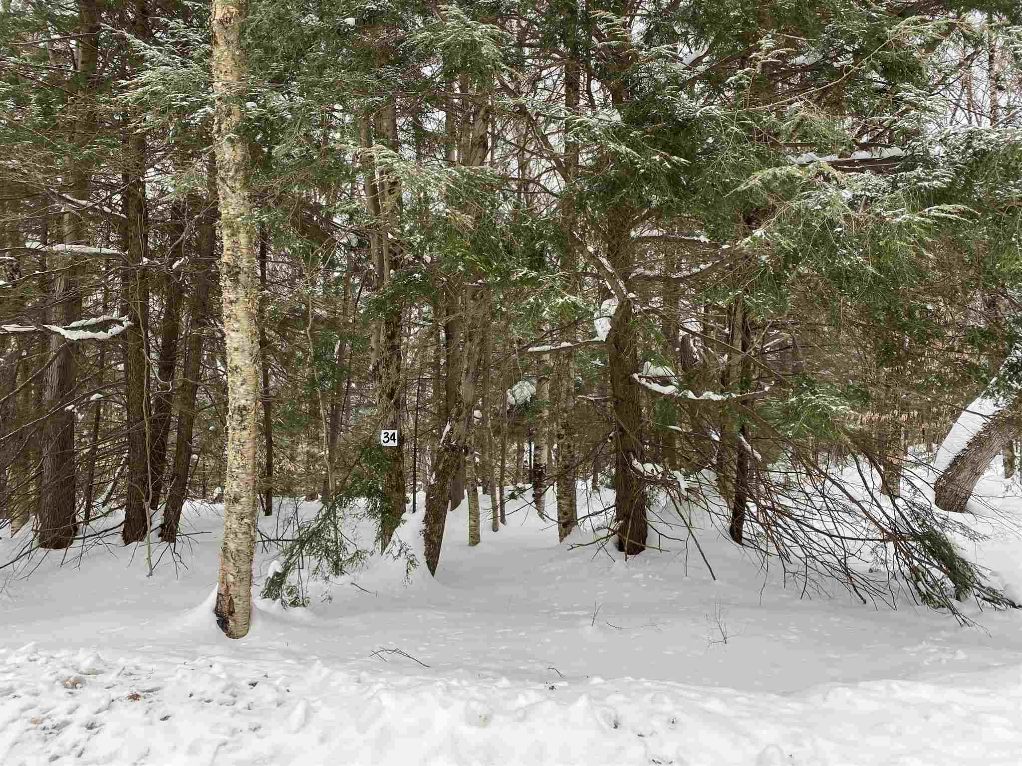 34 South Ryder Pond Road Whitingham, VT 05342 - Photo 6 of 11