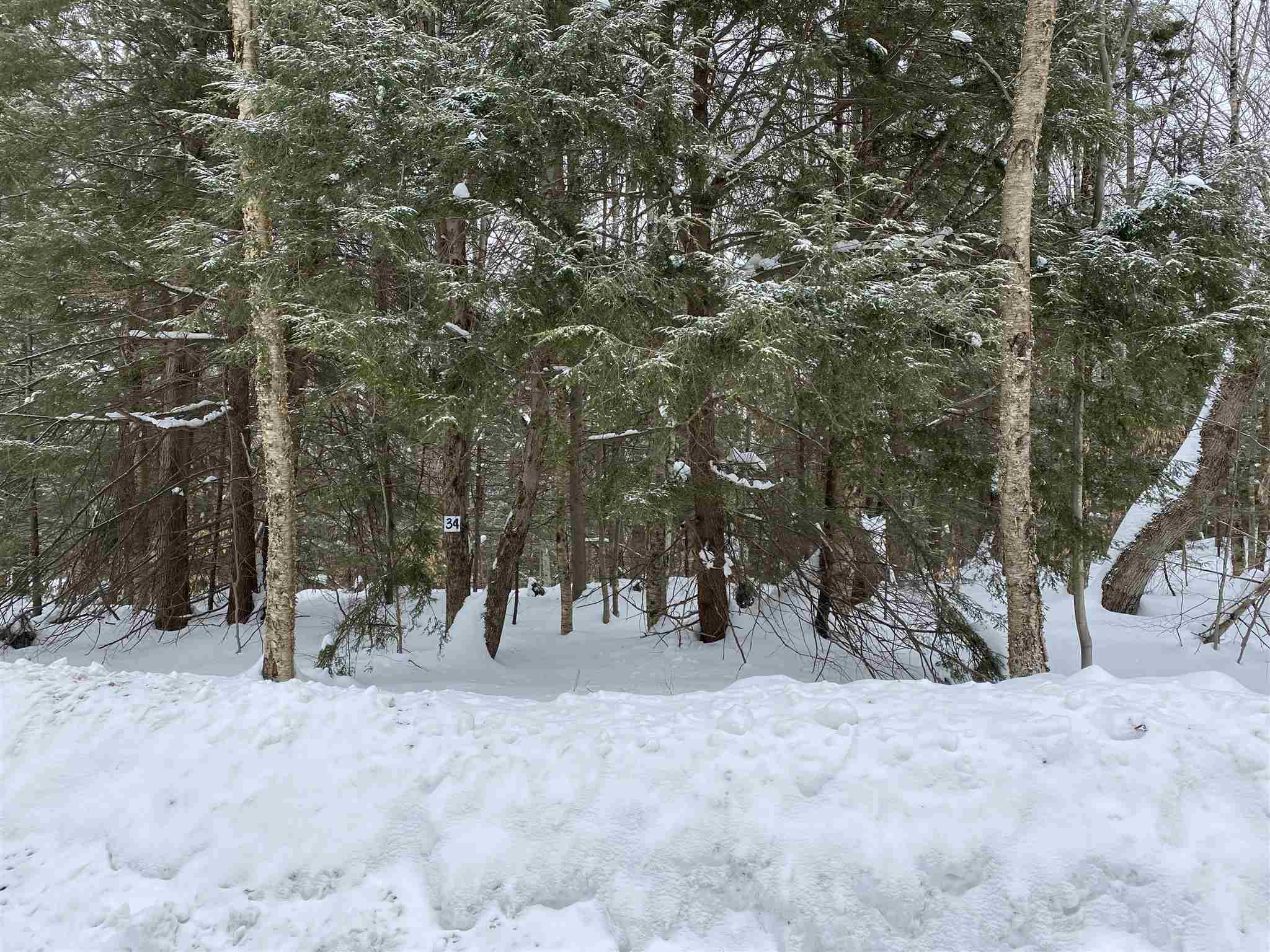 34 South Ryder Pond Road Whitingham, VT 05342 - Photo 7 of 11