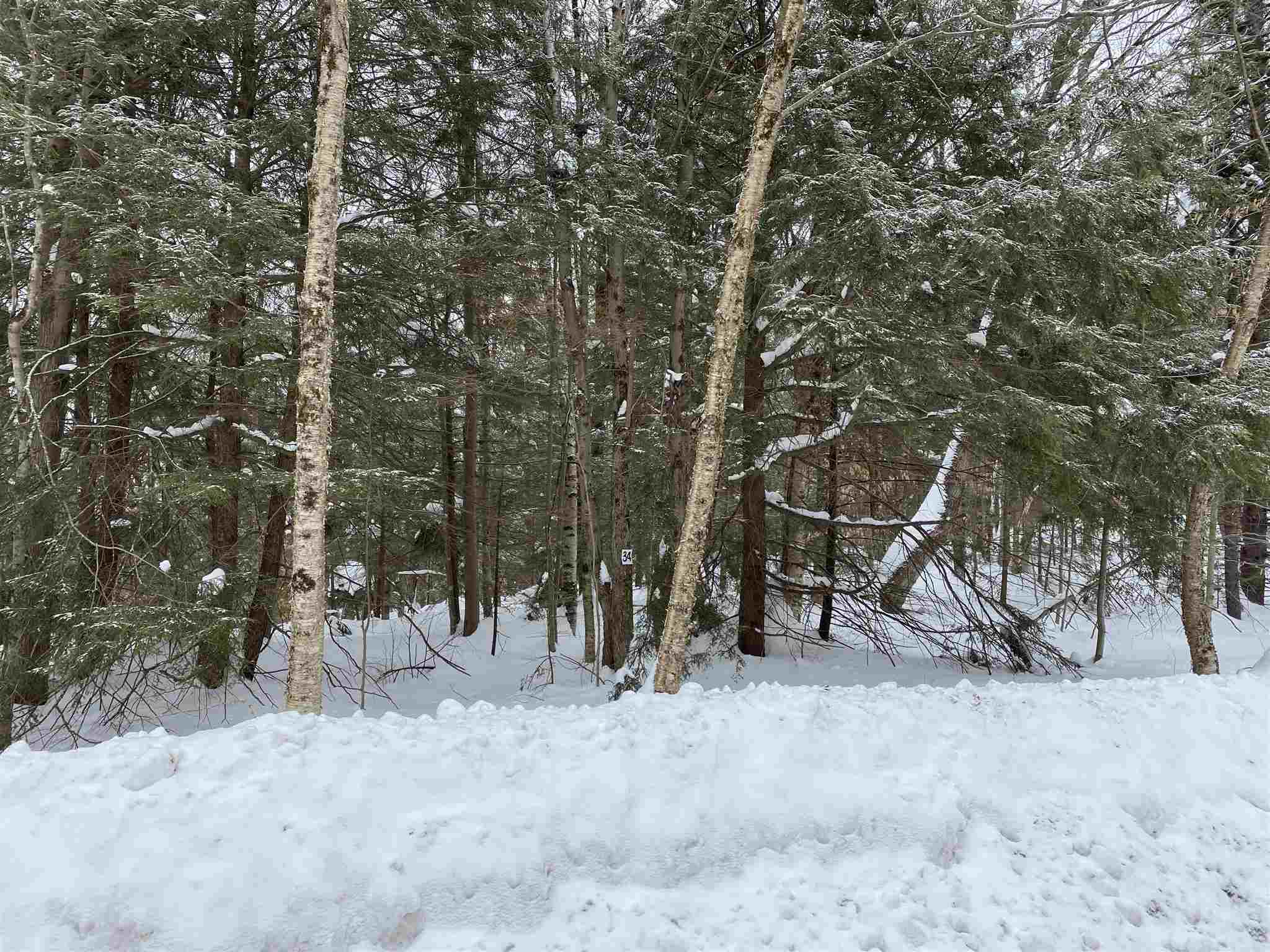34 South Ryder Pond Road Whitingham, VT 05342 - Photo 8 of 11