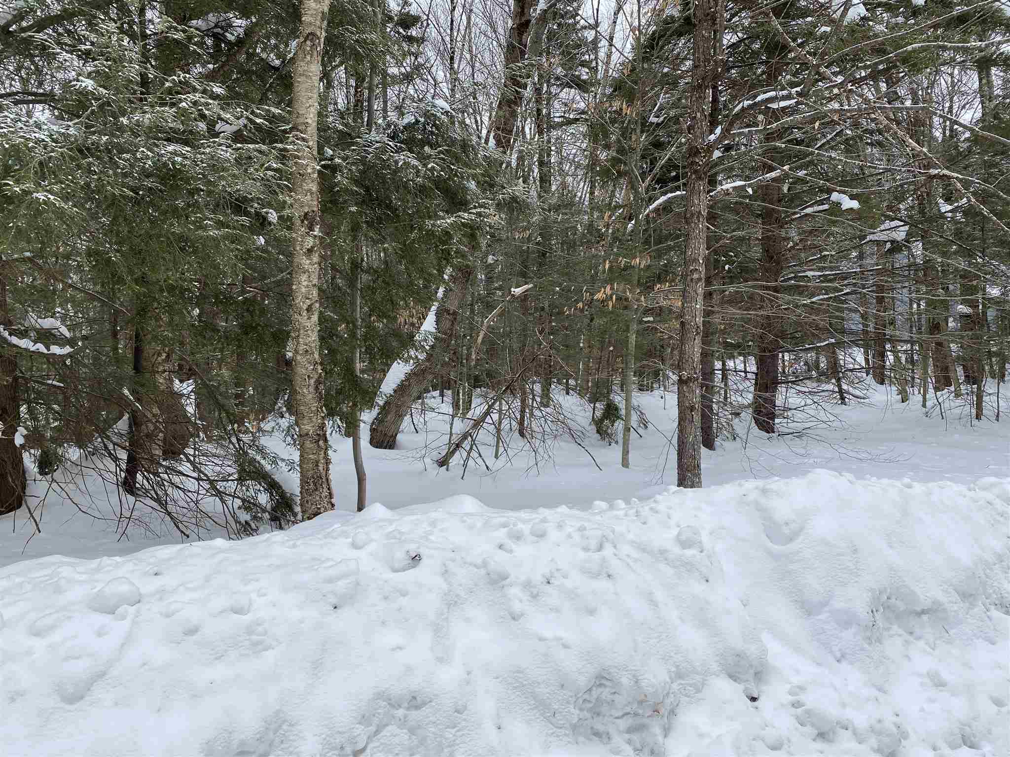 34 South Ryder Pond Road Whitingham, VT 05342 - Photo 9 of 11