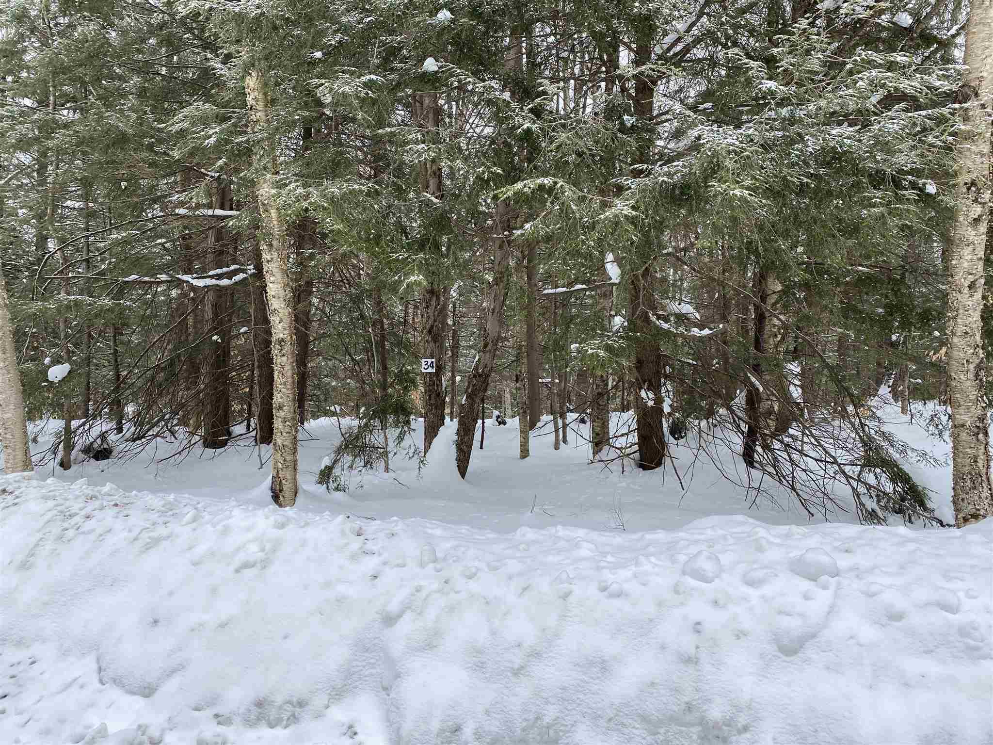 34 South Ryder Pond Road Whitingham, VT 05342 - Photo 10 of 11